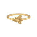 22K Anakin Gold Ring