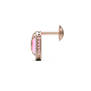 18K Kaci Gold Earring