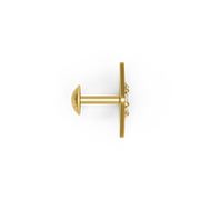 22K Siddhiksha Gold Earring