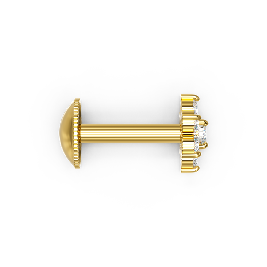 22K Dwika Gold Earring